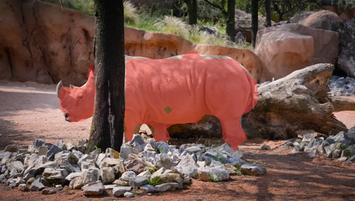 Stored PMD coarse mask overlay for rhino frame 70