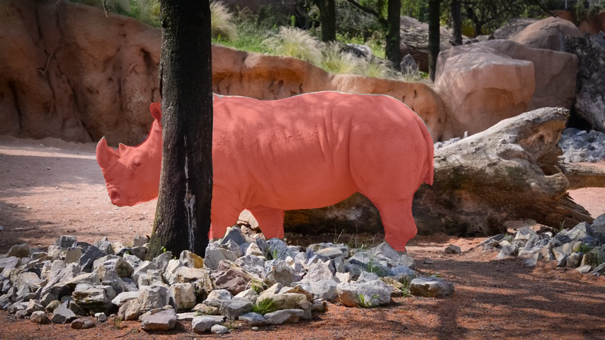Stored SAM2-refined PMD overlay for rhino frame 70